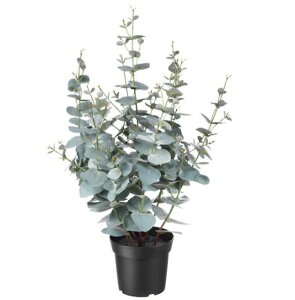 IKEAイケア FEJKAフェイカ人工観葉植物, 室内/屋外用 ユーカリ, 15 cm 204.523.69