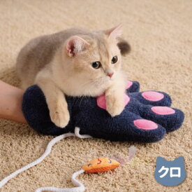 ネコプレイ　クロ猫用 ペット おもちゃ