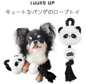 Luuks up hbO {[ [v gCɂXXII 