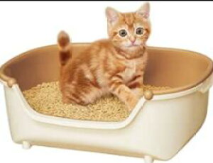 jƂgC RpNg AC{[y[IWybg ˂ L lR ɂ xbg NbV lRp L lR̂K lRƂ̕炵