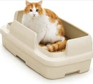 jƂgC ̂т̂уbNX Cgx[Wybg ˂ L lR ɂ xbg NbV lRp L lR̂K lRƂ̕炵