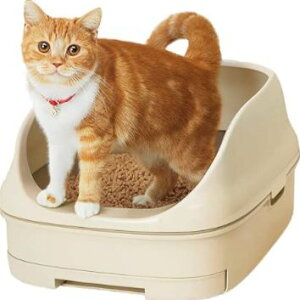 jƂgC I[v^Cv Cgx[Wybg ˂ L lR ɂ xbg NbV lRp L lR̂K lRƂ̕炵