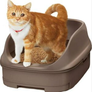 jƂgC I[v^Cv uEybg ˂ L lR ɂ xbg NbV lRp L lR̂K lRƂ̕炵