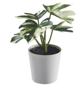 yNEWzIKEA CPA FEJKA tFCJlHϗtA Jo[t, /Op Xe, 6 cm405.932.07