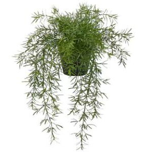 yNEWzIKEA CPA FEJKA tFCJlHϗtA, /Op AXpKX/艺^, 12 cm305.932.41