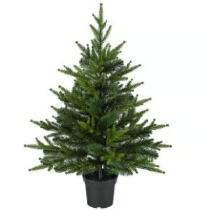 IKEA CPA VINTERFINT BetBg@lHϗtA, /Op/NX}Xc[ O[, 15 cm506.095.52