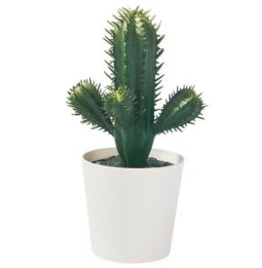 IKEAイケア FEJKA フェイカ人工観葉植物, 室内/屋外用 サボテン, 6 cm 305.871.55