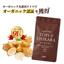 楽天市場】前田 菊芋の通販