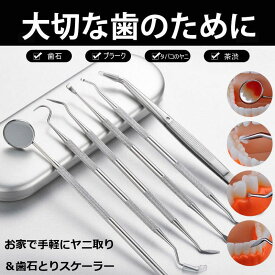 【送料無料】 歯科ツールセット 6点セット 歯科 歯 口腔 自宅 セルフ スケーラー 器具 ツール 口腔ケア 歯科用 歯医者 虫歯 歯石 取り セット 歯石除去 歯のケア ステンレス鋼 歯石取り タバコ ヤニ取り 歯石取り ミラー 鏡 棒 デンタルミラー 歯科用ピンセット