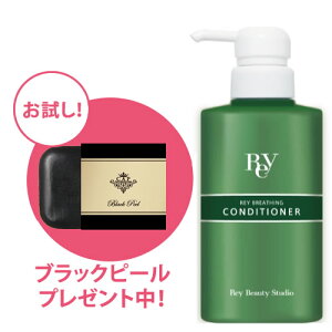 Rey C u[WO RfBVi[300ml yΌv[gzRey/_/C r[eB/Cu[WO/CA[XO/CuCg