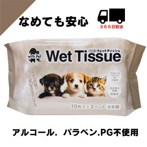 ybgp EFbgV[g aHybgpEFbgeBbV703pbN12i2520j  L ybg EGbgeBbV Ȃ߂ĂS ybgV[g U o ӂ @ 