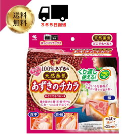 【3/3SS限定最大20%オフクーポン】小林製薬 送料無料 あずきのチカラ どこでもベルト【4901548604018】あずきで作られた蒸気、温熱ピロー