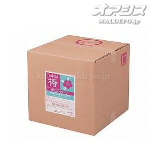 F SCRITT  XCVv[ / 4223 18L