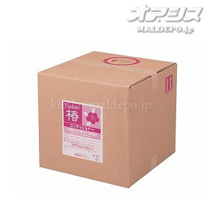 F SCRITT  RfBVi[ / 4224 18L