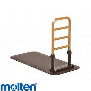 molten [c TCh^Cv MNTPLBR e