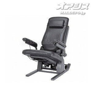 d~CX Ɨ錾NCjO DSREC