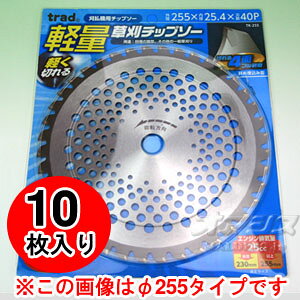 ������`�b�v�\�[ 4�ʃt������ �y�ʌ^ TK-230 230×36P ������10���Z�b�g trad