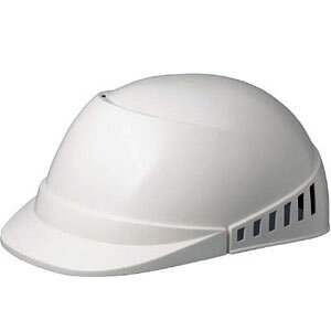 yƖX ʋCEt SCL-100A zCg ~hS