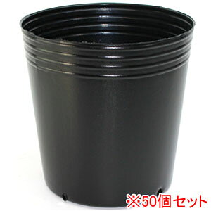 O[|bg p4 #0204 50Zbg