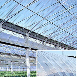 nEXptB EGXgR[g 460cm 0.1mm IJg yHiz ylzsz