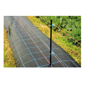 hV[g AOV[g 3m×100m BB1515 {ChNX hEړIp ubNylzsz