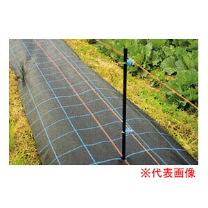 hV[g AOV[g 2m×100m SG1515 {ChNX hEړIp Vo[O[ylzsz