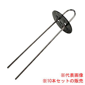 p یN(Us+4bV?t) 10{Zbg F 20cm {ChNX hV[gpy[։z