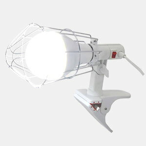 LEDNbvv  3500lm CLL-30 ЍV ARZgt