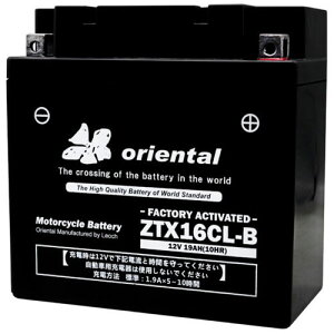 WFbgXL[p AGM S^ obe[ ZTX16CL-B IG^