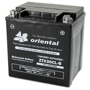 WFbgXL[p AGM S^ obe[ ZTX30CL-B IG^