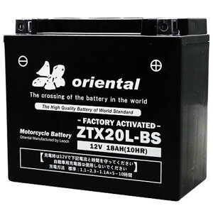 WFbgXL[p AGM S^ obe[ ZTX20L-BS IG^