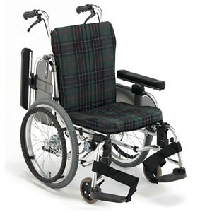 RpNgZ~W[^Cv ^ AR-911S i쏊