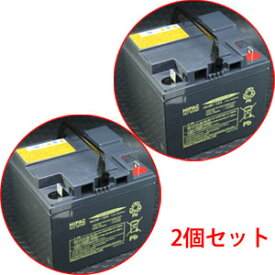 スズキ セニアカー(電動カート)用バッテリー 2個セット HC38-12