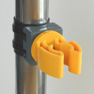 z_[ ₷ pCvp IW tue-P01