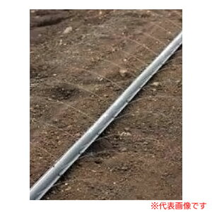 lIhbv RV^ 04L 200m 3Zbg WB9021 Z_Ǝ dǊ`[u