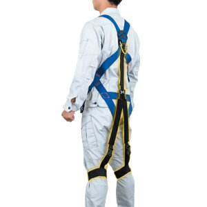 }bXX[c n[lXvX t[TCY MS15-00 ctn[lXX^p