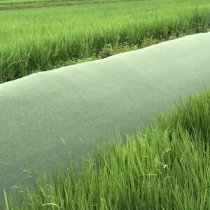 G}܂lbg 1.5m×50m  1 όN8N XΒnp