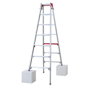 �͂������p�L�k�r�� �㕔����^�C�v 7�� RYR-21a �n�Z�K���i���J��H�Ɓj �V���K�}��