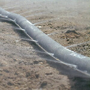 ~XgG[X35 _uEBO 100m*2{Zbg Z_Ǝ