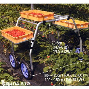 A~ np yY RA-612W HARAX(nbNX)y@l̂݁zycƏ߉z