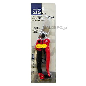 SIG ������ 200mm G026 �O���R�[�|���[�V����