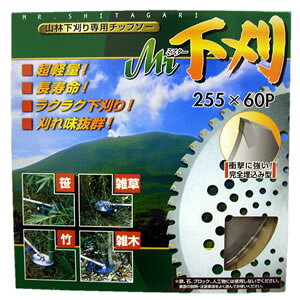 �R�щ�����p�`�b�v�\�[ Mr���� 255×60P