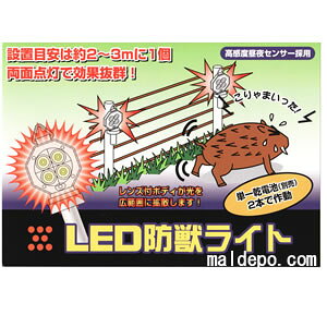 LED�h�b���C�g ����Z���T�[�t