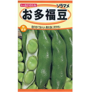 ؂̎ 瓤  g[zN H܂ ͔|Ⴀy[։z