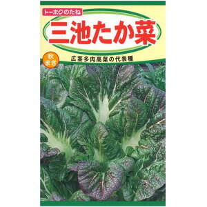 ؂̎ Or g[zN H܂ ͔|Ⴀy[։z