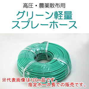 pz[X(_Ɨp) O[yʃXv[z[X 5×50m \S(gK/TOGAWA) ^Cv PF1/4