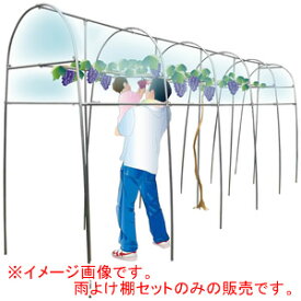 楽天市場 ぶどう 棚 雨よけの通販 楽天市場 ぶどう 棚 雨よけの通販