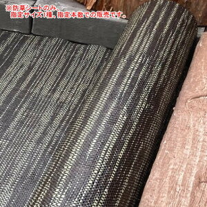 hV[g cCXgK[h 1m*10m 12Zbg CmxbNX(Innovex/_CI/Dio) ؖڒ uEy@l̂݁z