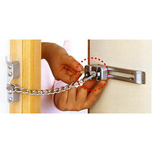 `F[ŃbN(OJhAp) No.220 K[hbN