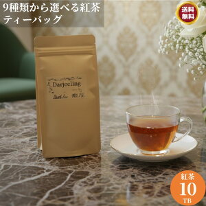 p Iׂg 10TB Ch g eB[obO Ch _[W jM E@ Eo AbT A[OC eB[pbN eB[obN _[WeB[ AbTeB[ AbTg